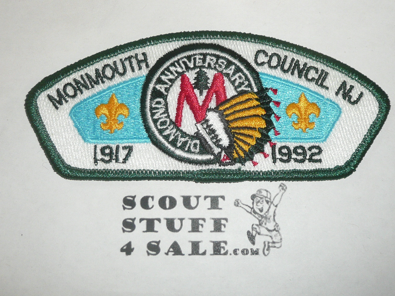 Monmouth Council s2 CSP - Scout