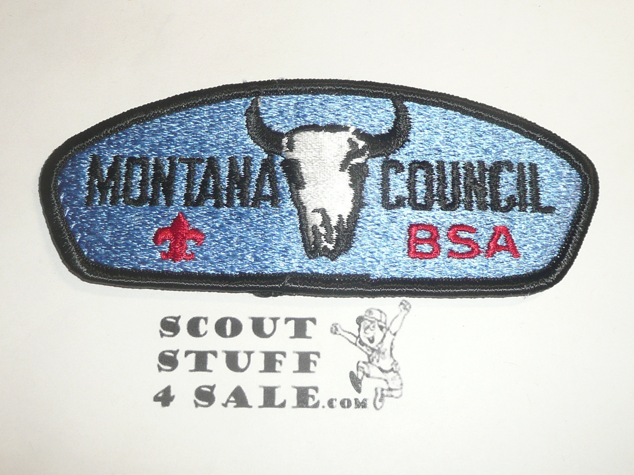 Montana Council s2 CSP - Scout