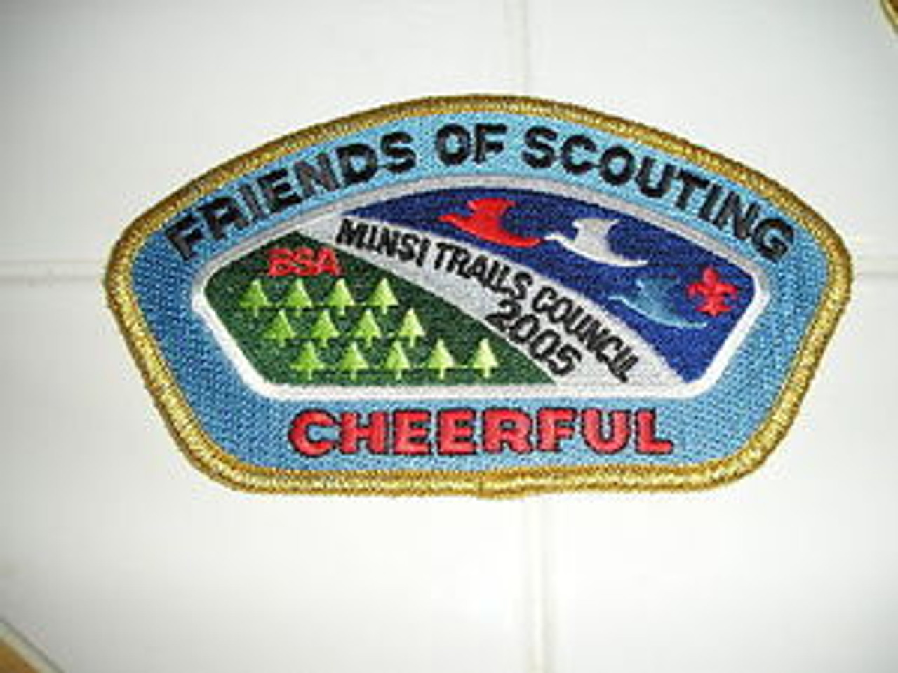 Minsi Trails Council sa47 CSP - Scout