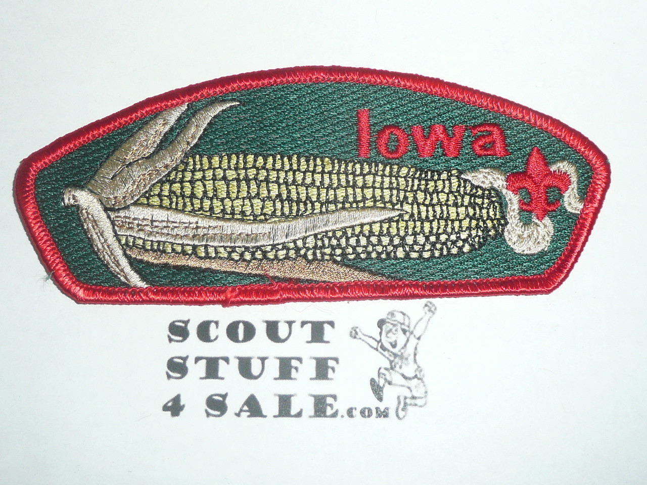 Mid-Iowa Council sa14 CSP - Scout