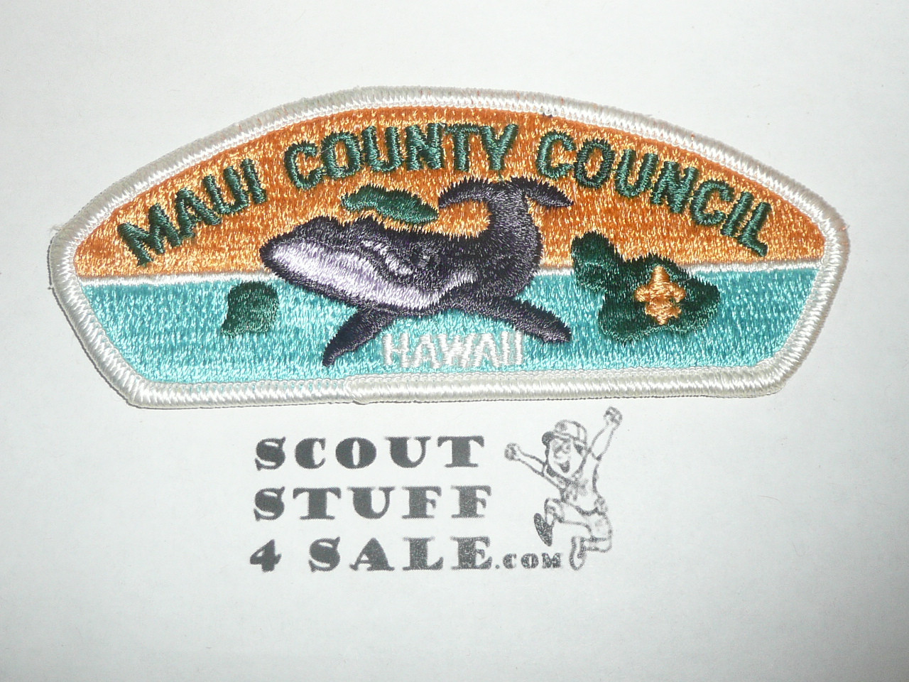 Maui County Council s2 CSP - Scout