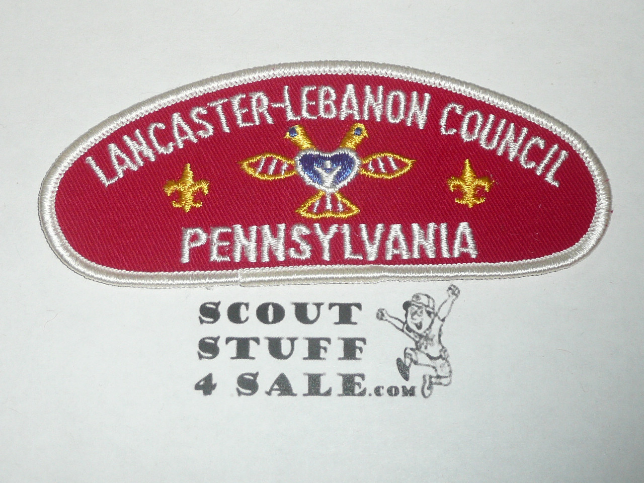 Lancaster-Lebanon Council t2 CSP - Scout NAME CHANGE