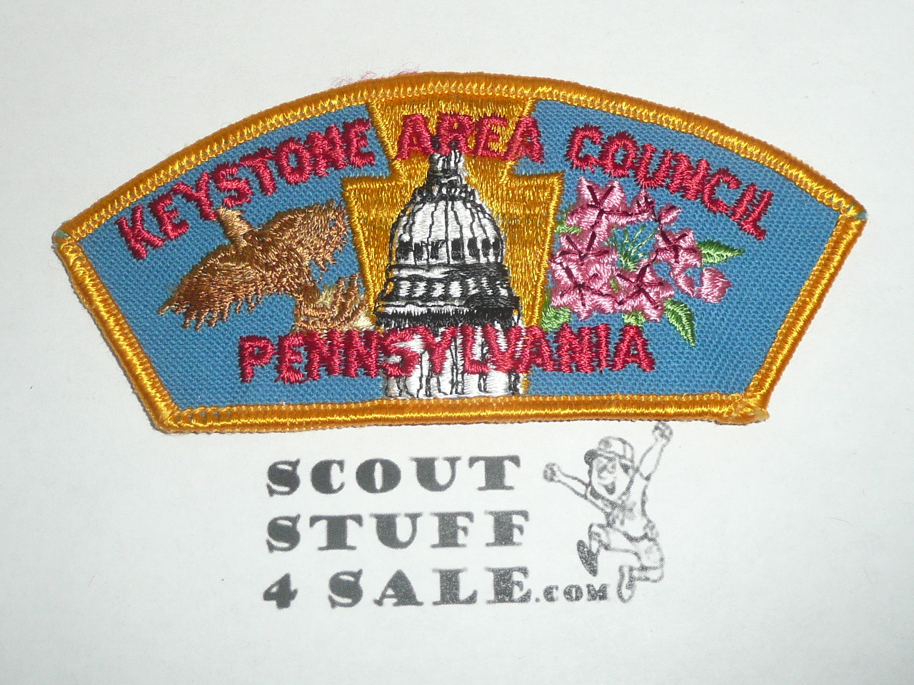 Keystone Area Council t1a CSP - Scout