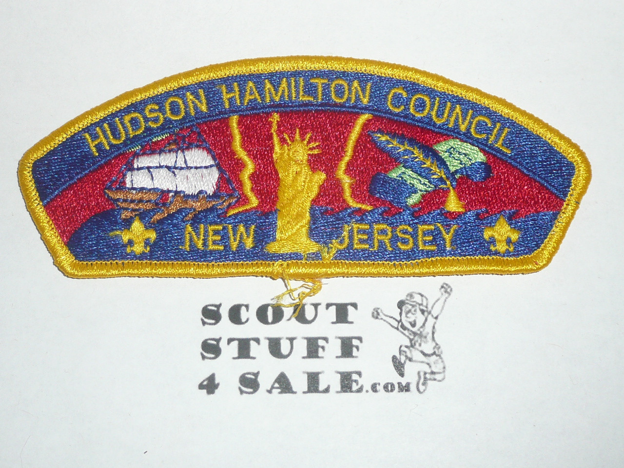 Hudson Hamilton Council sa4 CSP - Scout