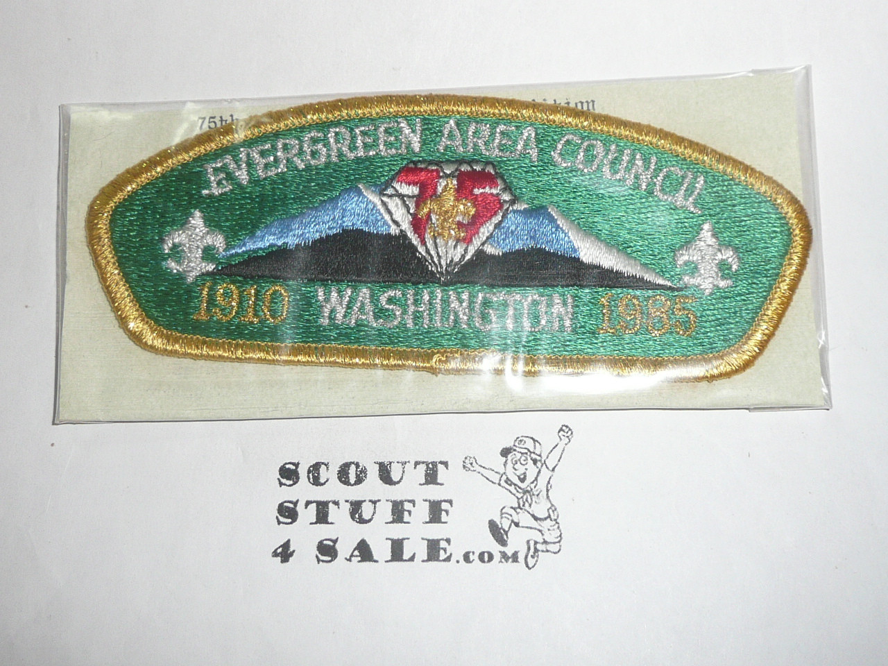 Evergreen Area Council s4 CSP - 75th BSA Anniv