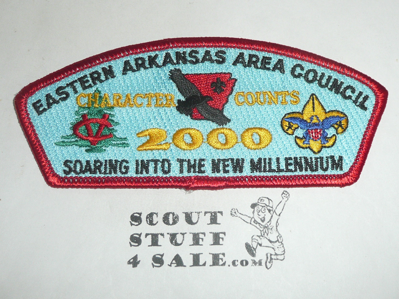 Eastern Arkansas Area Council sa11 CSP - Scout