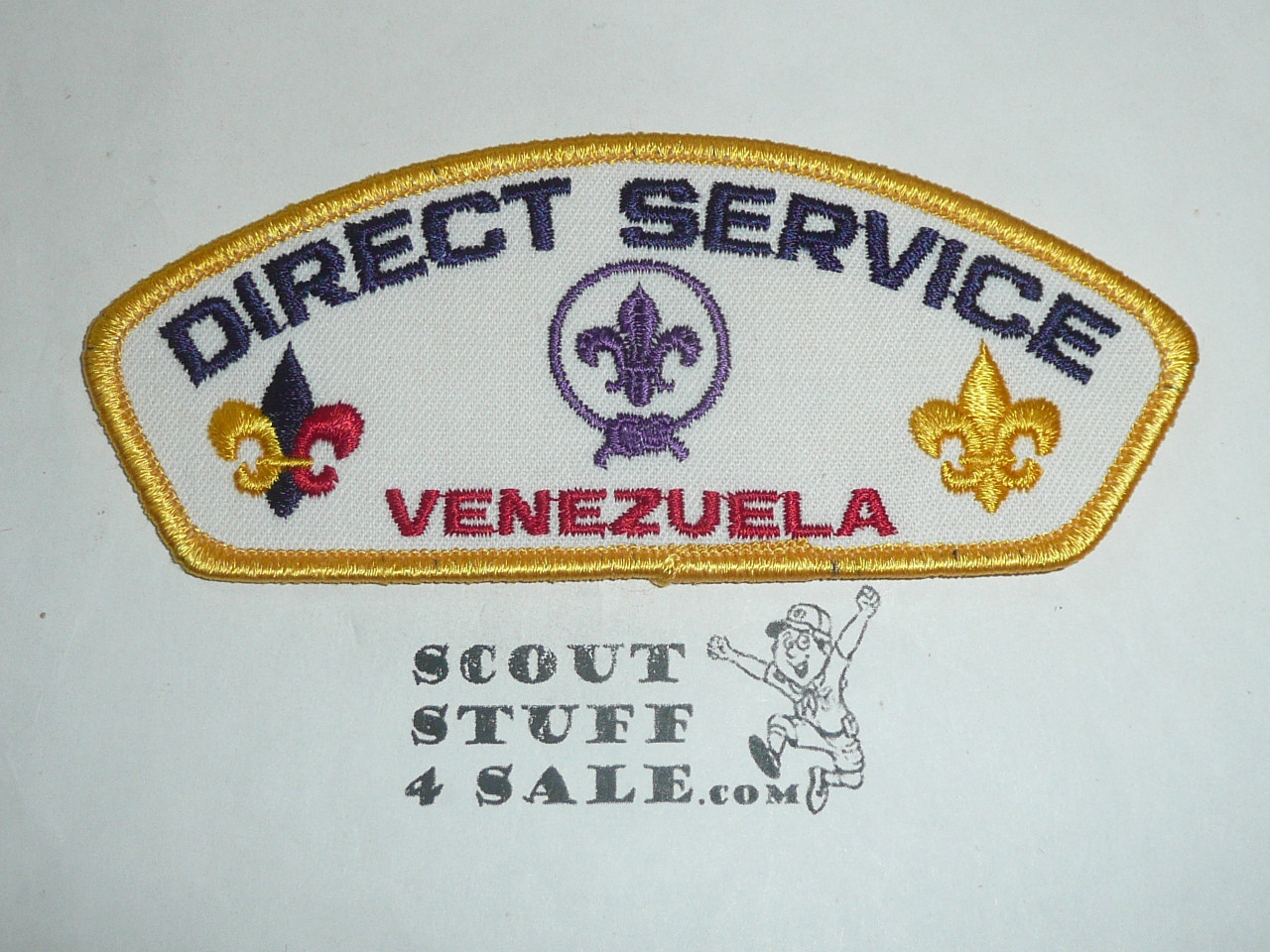 Direct Service Council VENEZUELA t1 CSP - Scout