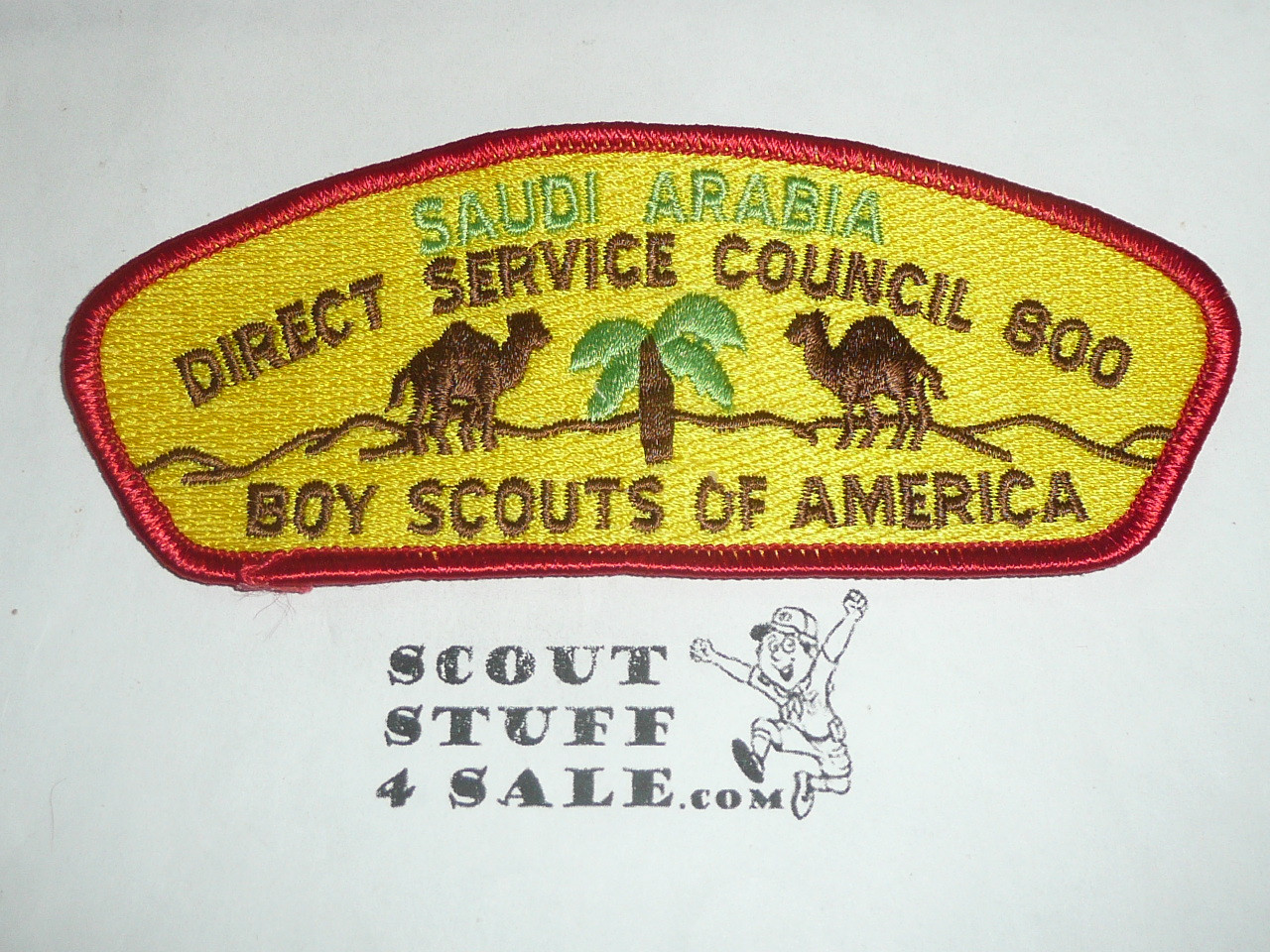 Direct Service Council SAUDI ARABIA s1d CSP - Scout