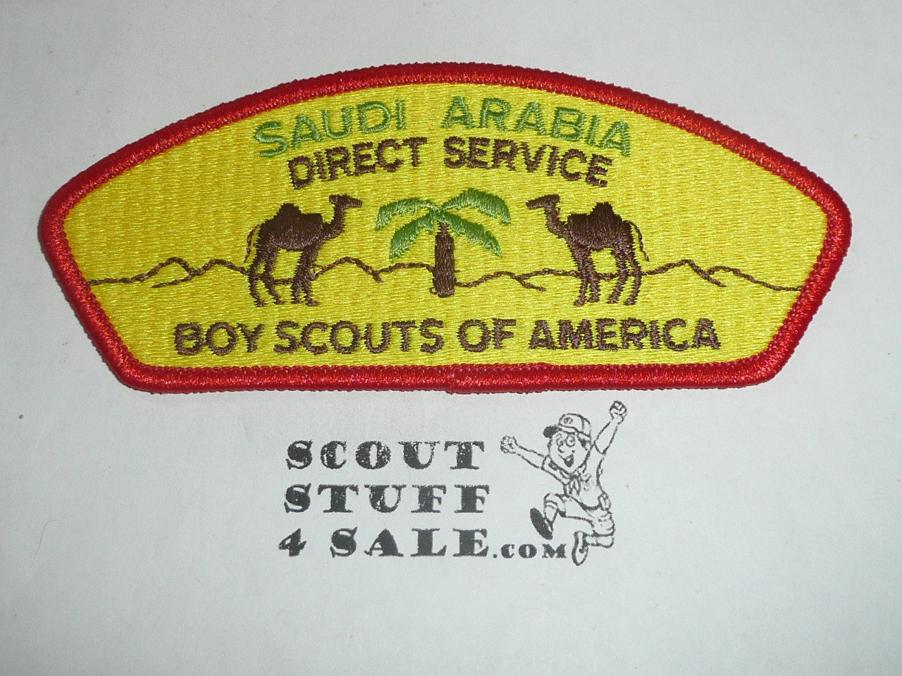 Direct Service Council SAUDI ARABIA s11 CSP - Scout