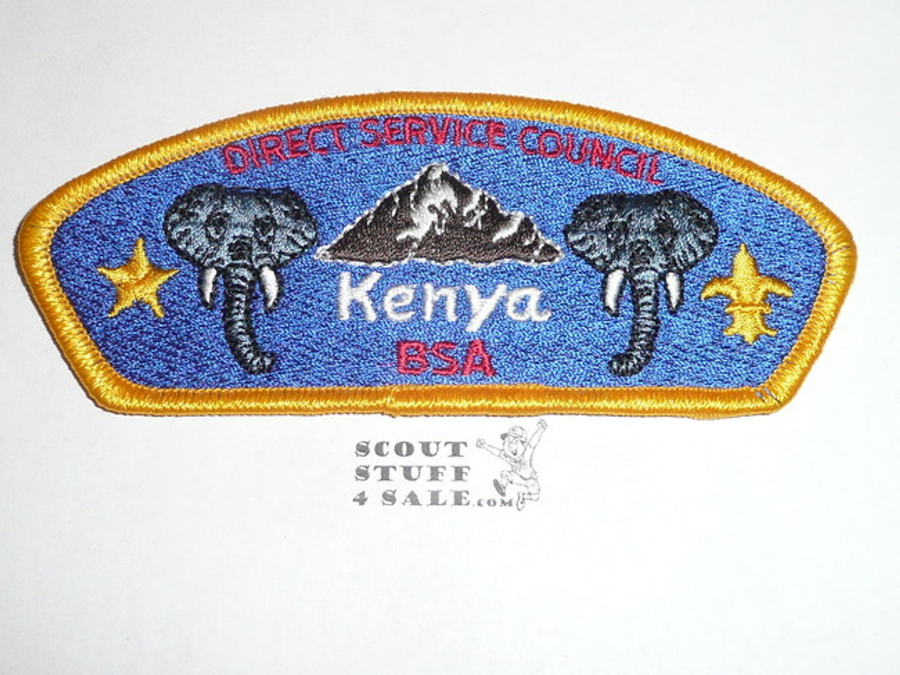 Direct Service Council KENYA s1 CSP - Scout