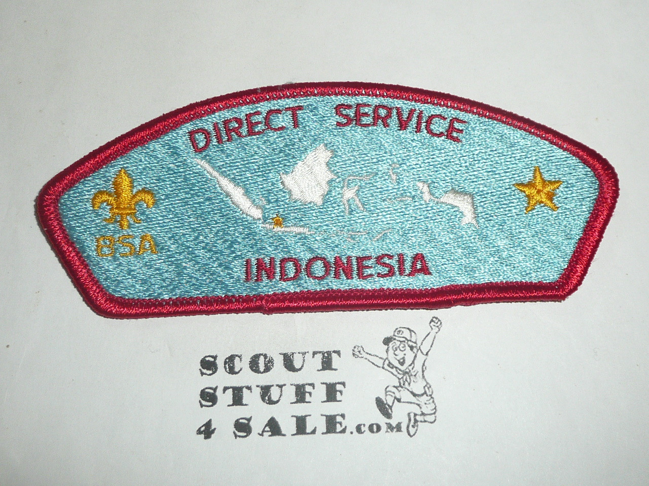 Direct Service Council INDONESIA s1 CSP - Scout