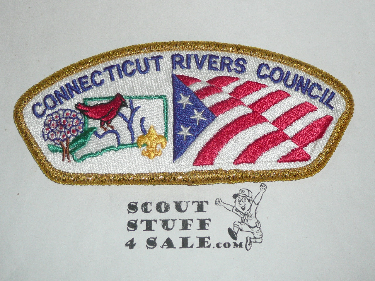 Connecticut Rivers Council sa3 CSP - Scout
