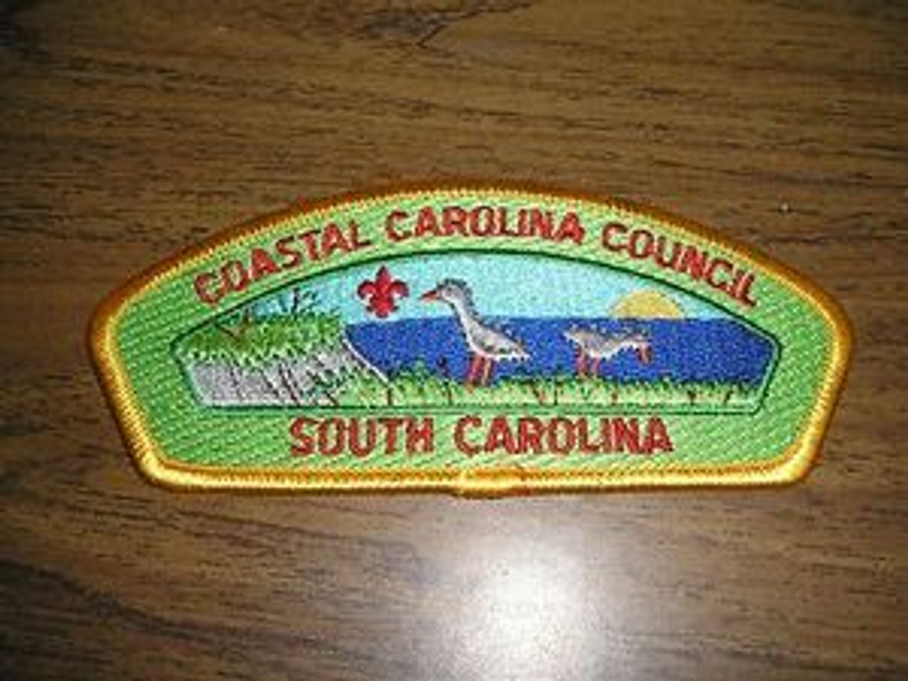 Coastal Carolina Council sa7 CSP - Scout