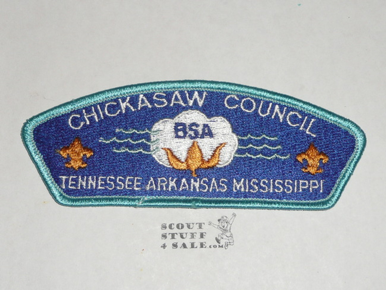 Chickasaw Council s2 CSP - Scout