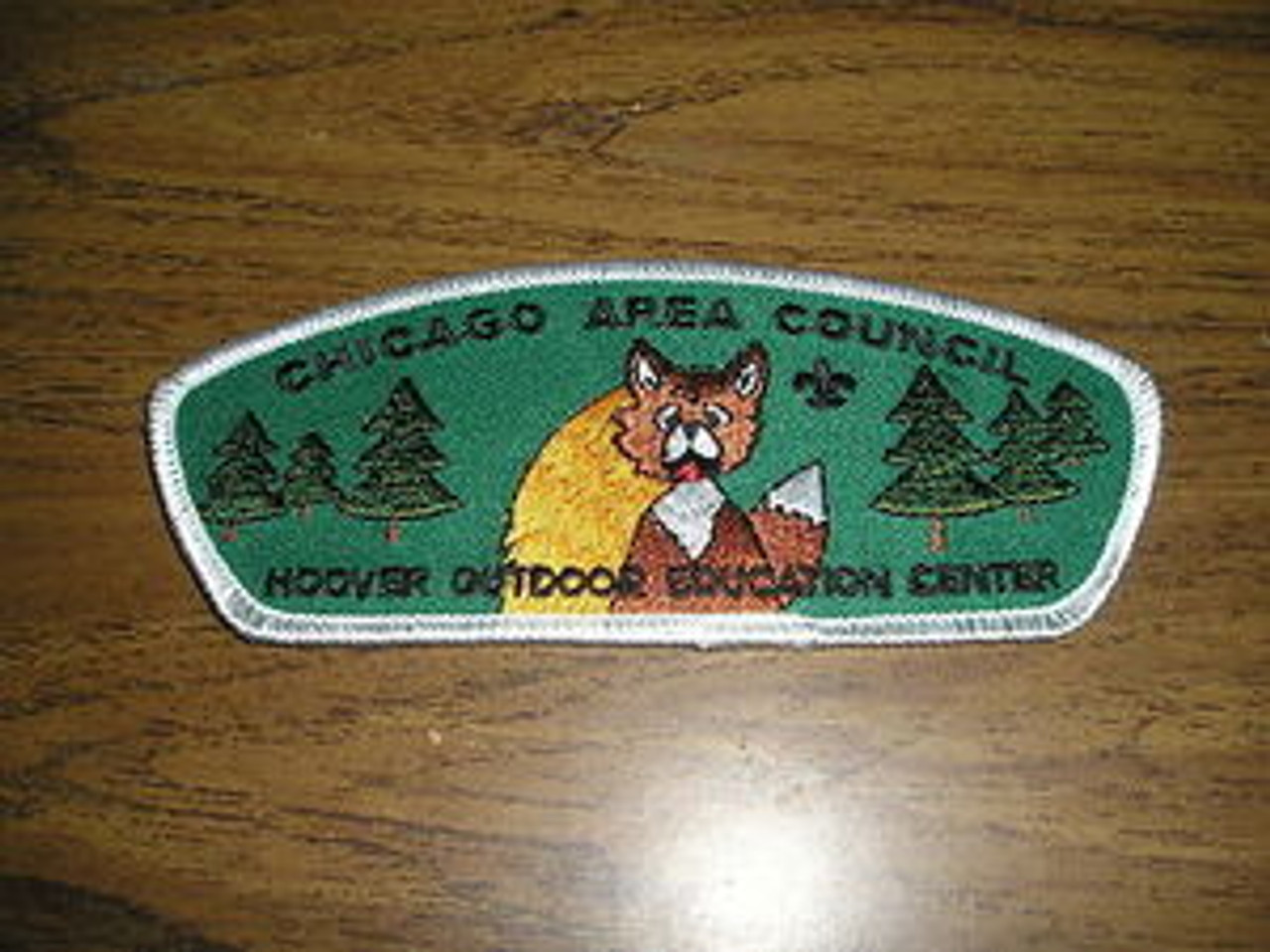 Chicago Area Council ta42 CSP - Scout