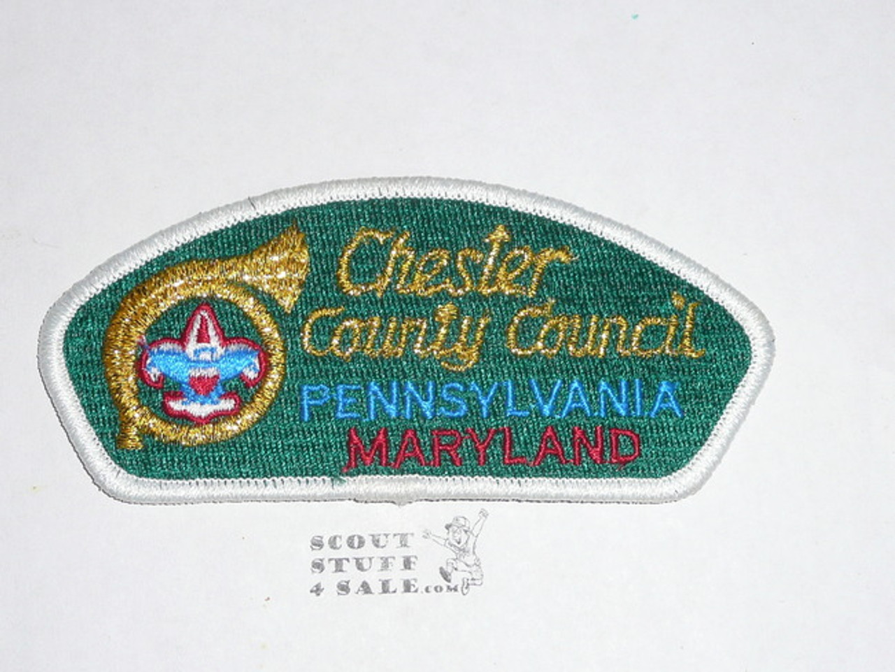 Chester County Council s2a CSP - Scout