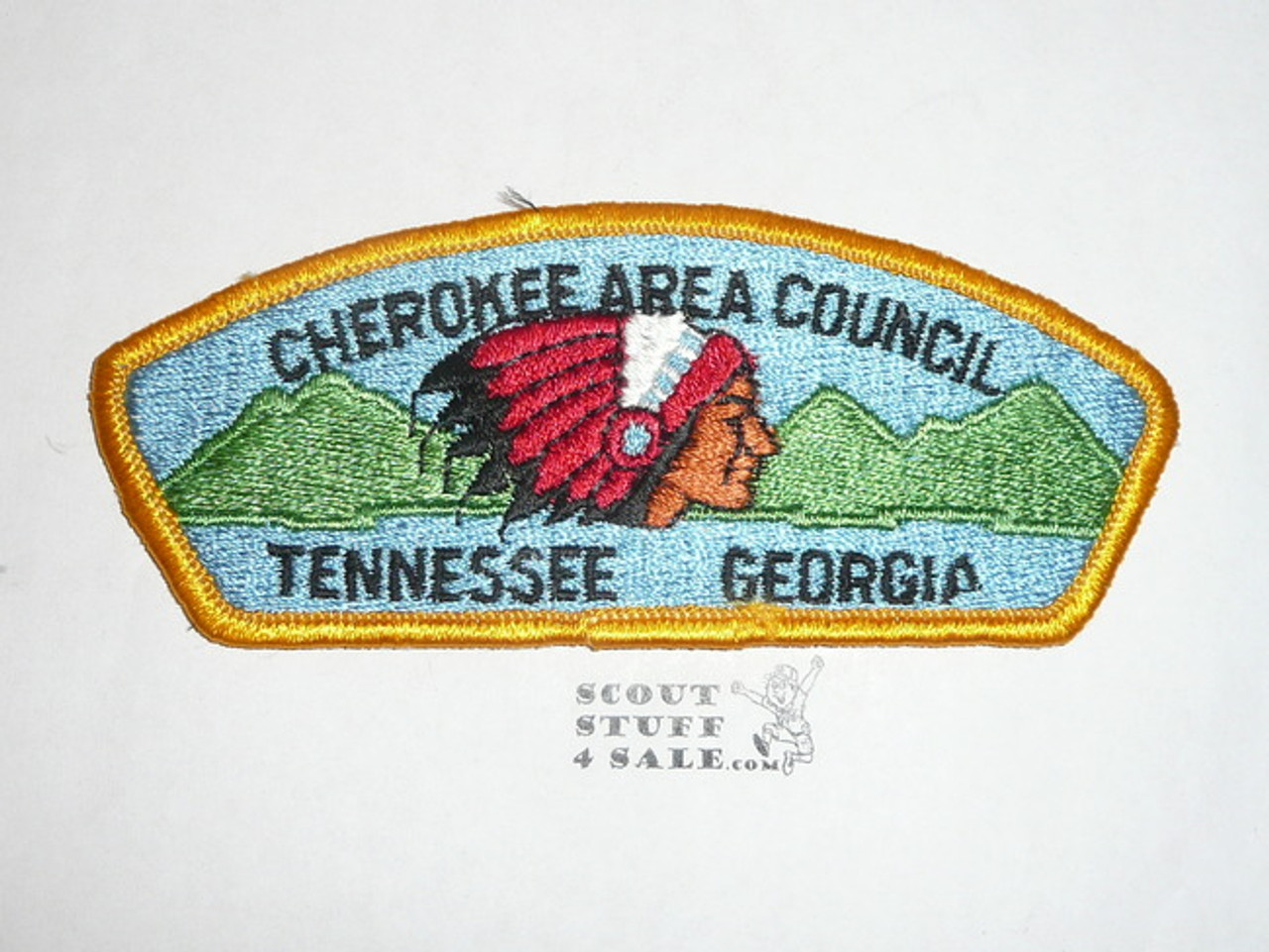 Cherokee Area TN Council s1 CSP - Scout