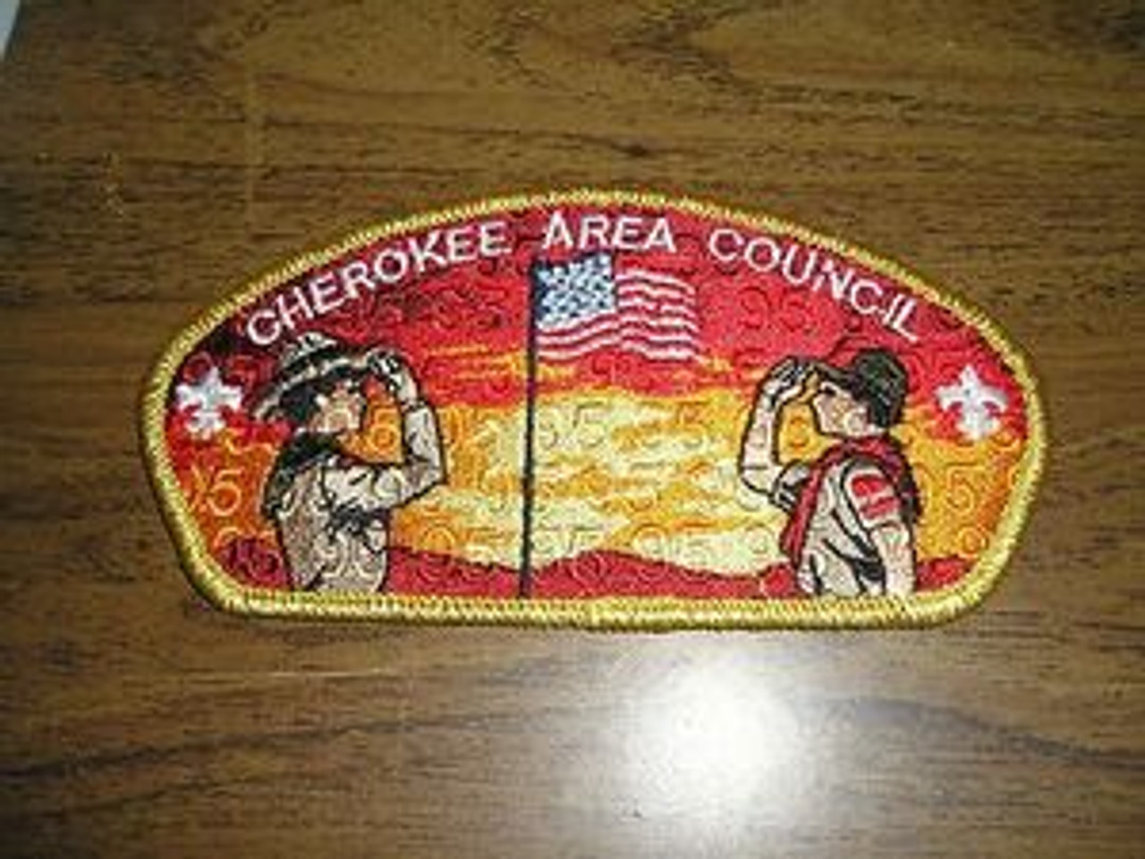 Cherokee Area Council sa79 CSP - Scout