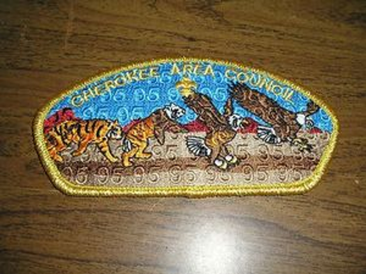 Cherokee Area Council sa73 CSP - Scout