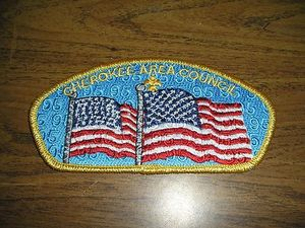 Cherokee Area Council sa67 CSP - Scout