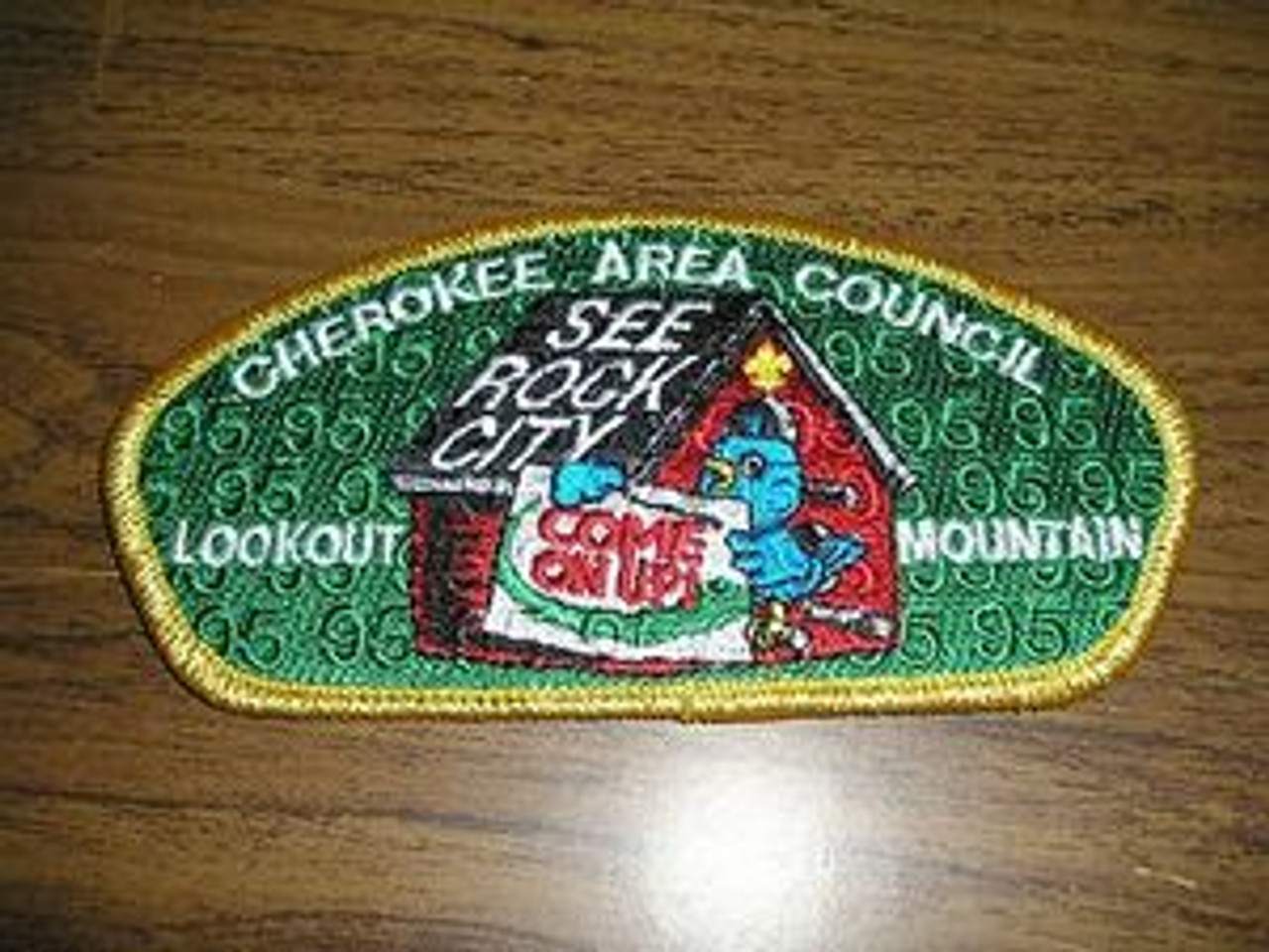 Cherokee Area Council sa62 CSP - Scout