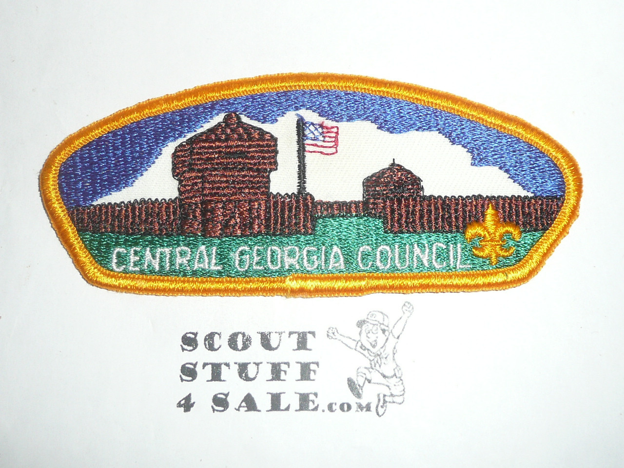 Central Georgia Council t3 CSP - Scout