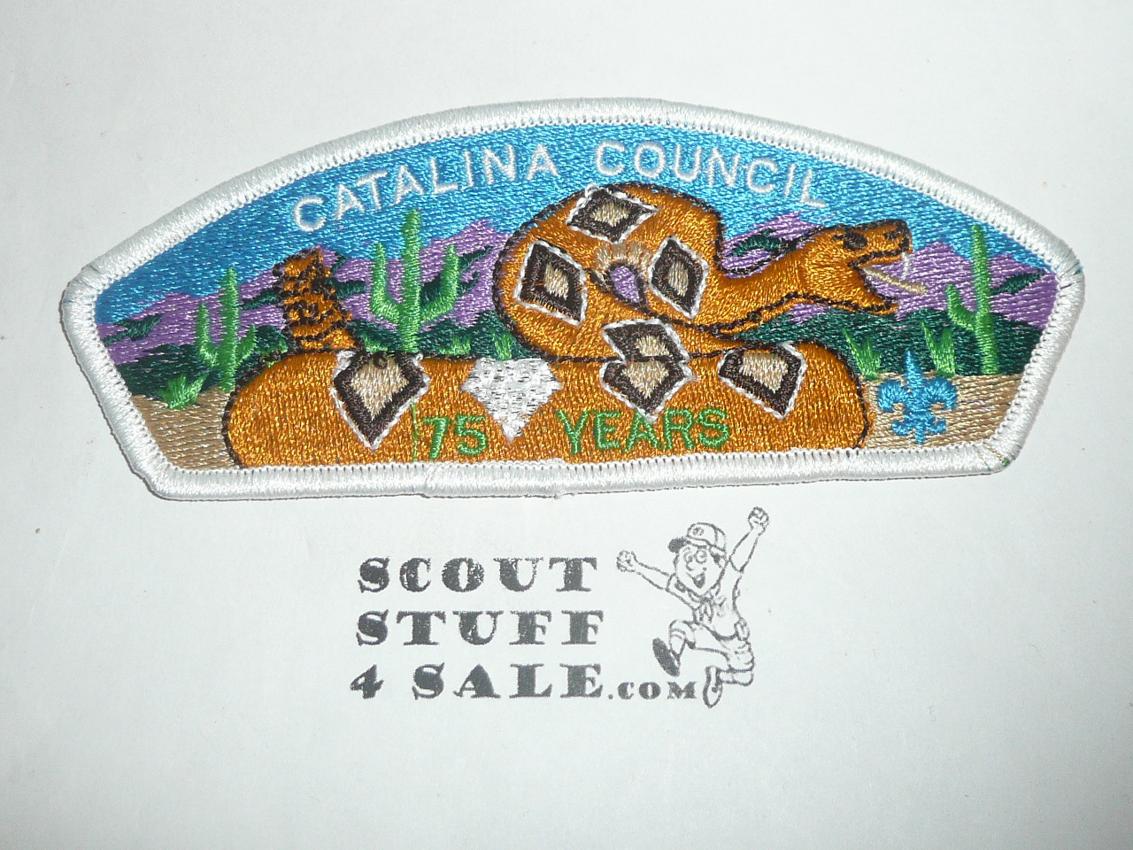 Catalina Council s15 CSP - Scout