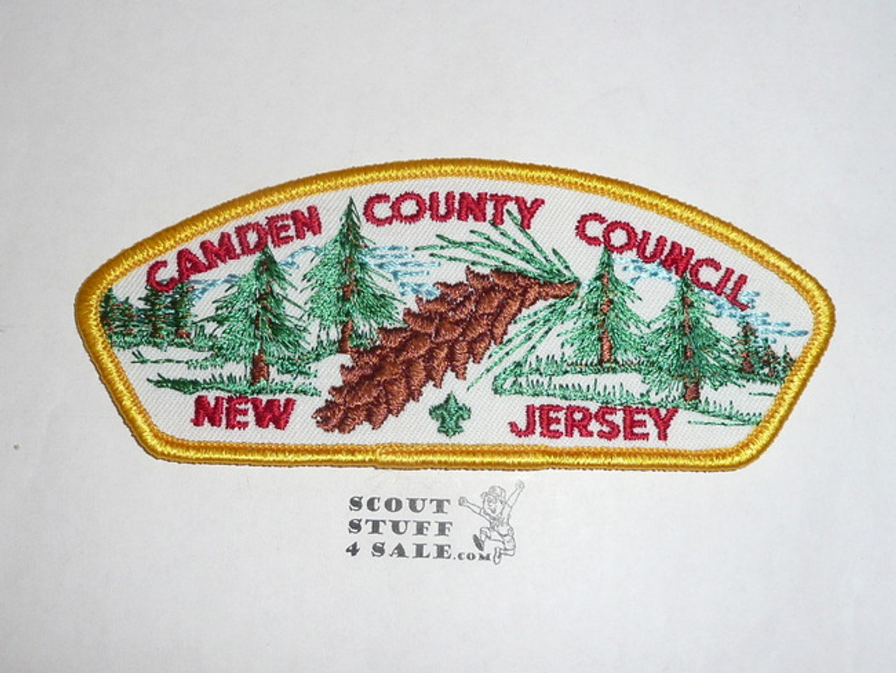 Camden County Council t2 CSP - Scout   MERGED
