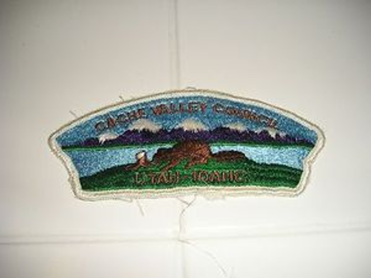 Cache Valley Council s5 CSP - MERGED, sewn