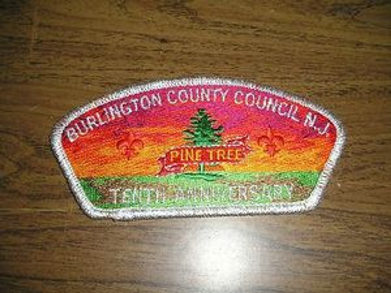 Burlington County Council sa34 CSP - Scout