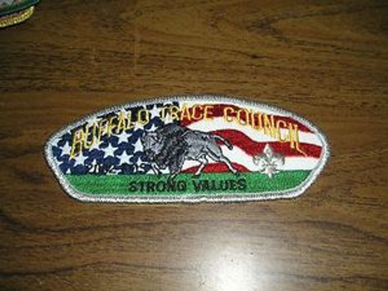 Buffalo Trace Council sa13 CSP - Scout