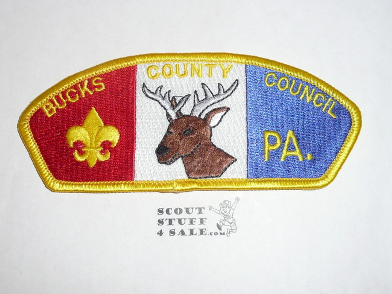 Bucks County Council s24a CSP - Scout
