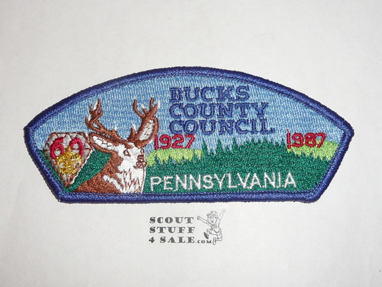 Bucks County Council s14 CSP - 60th Anniversary
