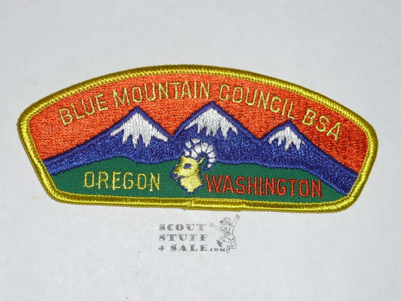 Blue Mountain Council t3 CSP - Scout