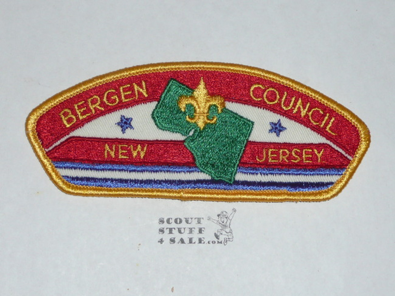 Bergen Council t1 CSP - Scout  MERGED