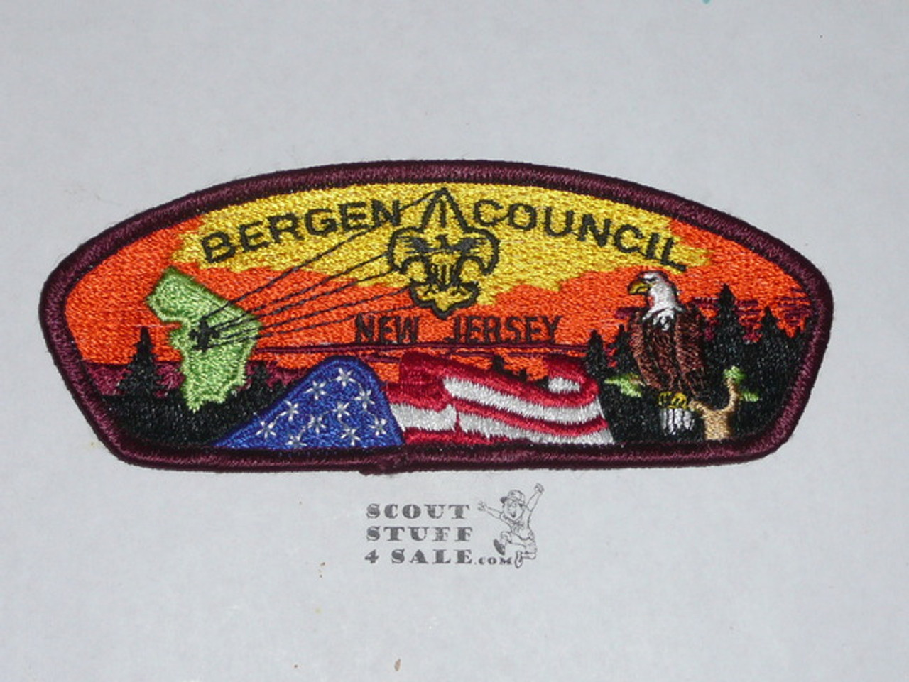 Bergen Council s2 CSP - Scout  MERGED
