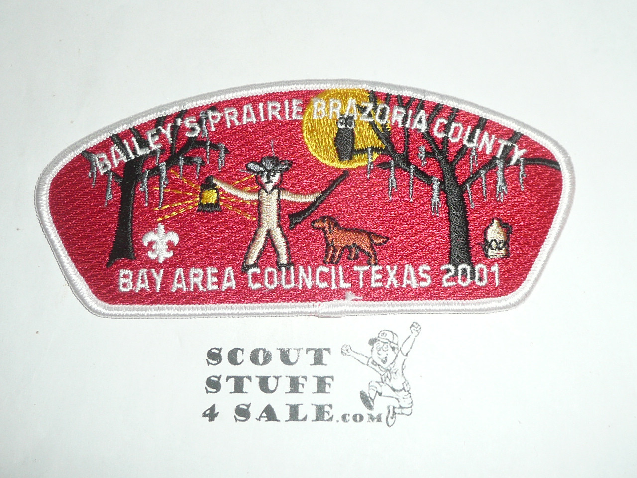 Bay Area Council sa11 CSP - Scout