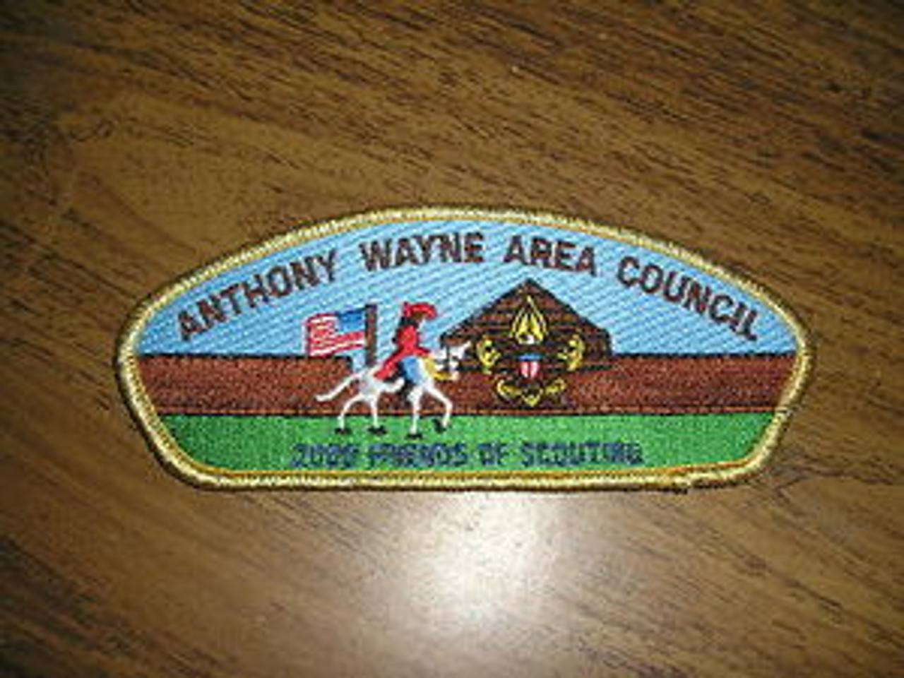 Anthony Wayne Area Council sa9:1 CSP - Scout