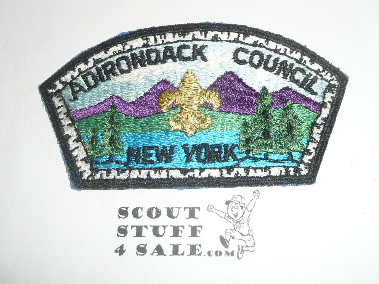 Adirondack Council s3 CSP - Scout  MERGED