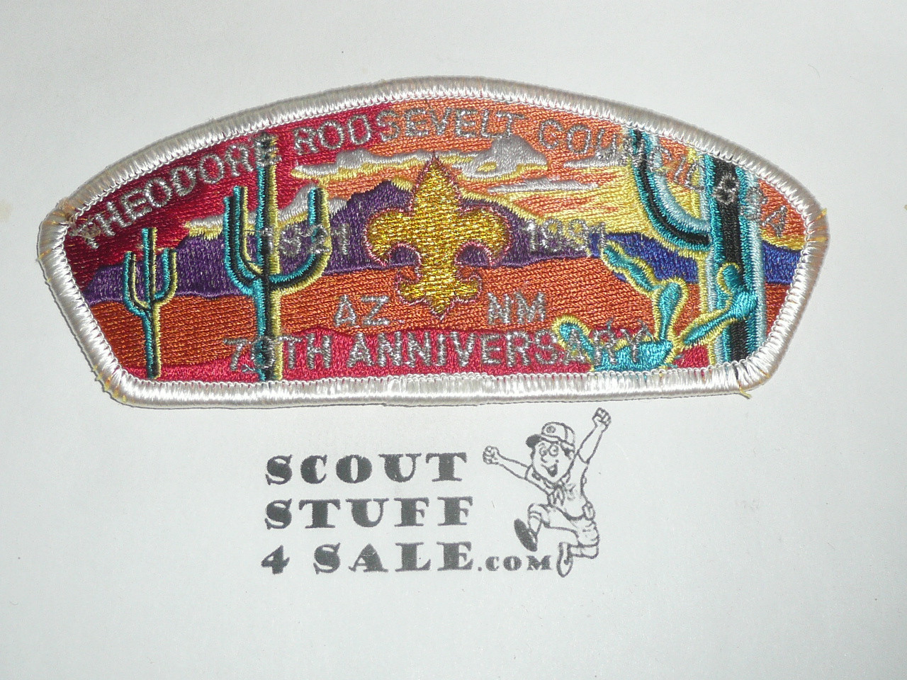 Theodore Roosevelt Council s5 CSP - Scout