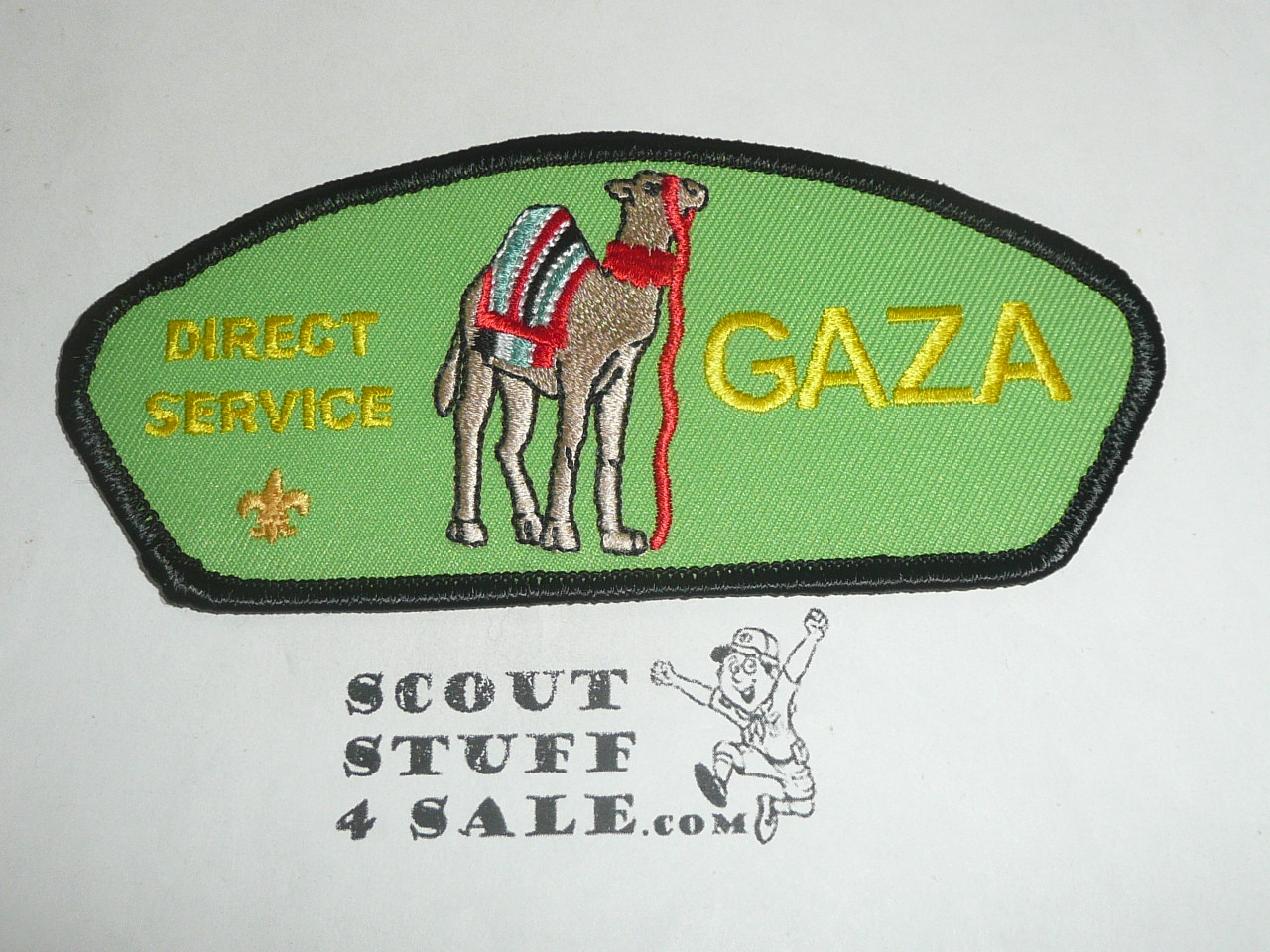 Direct Service Council GAZA t1 CSP - Scout