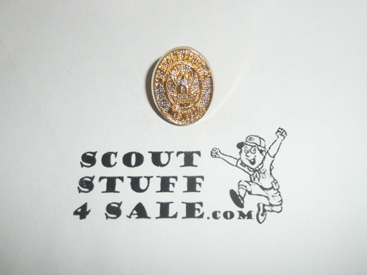 Eagle Scout Mentor Pin, Gold color