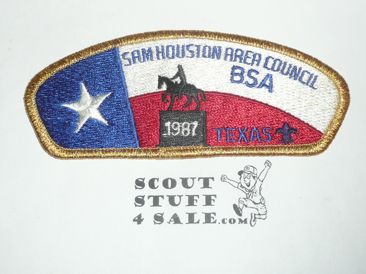 Sam Houston Area Council sa11 CSP - Scout