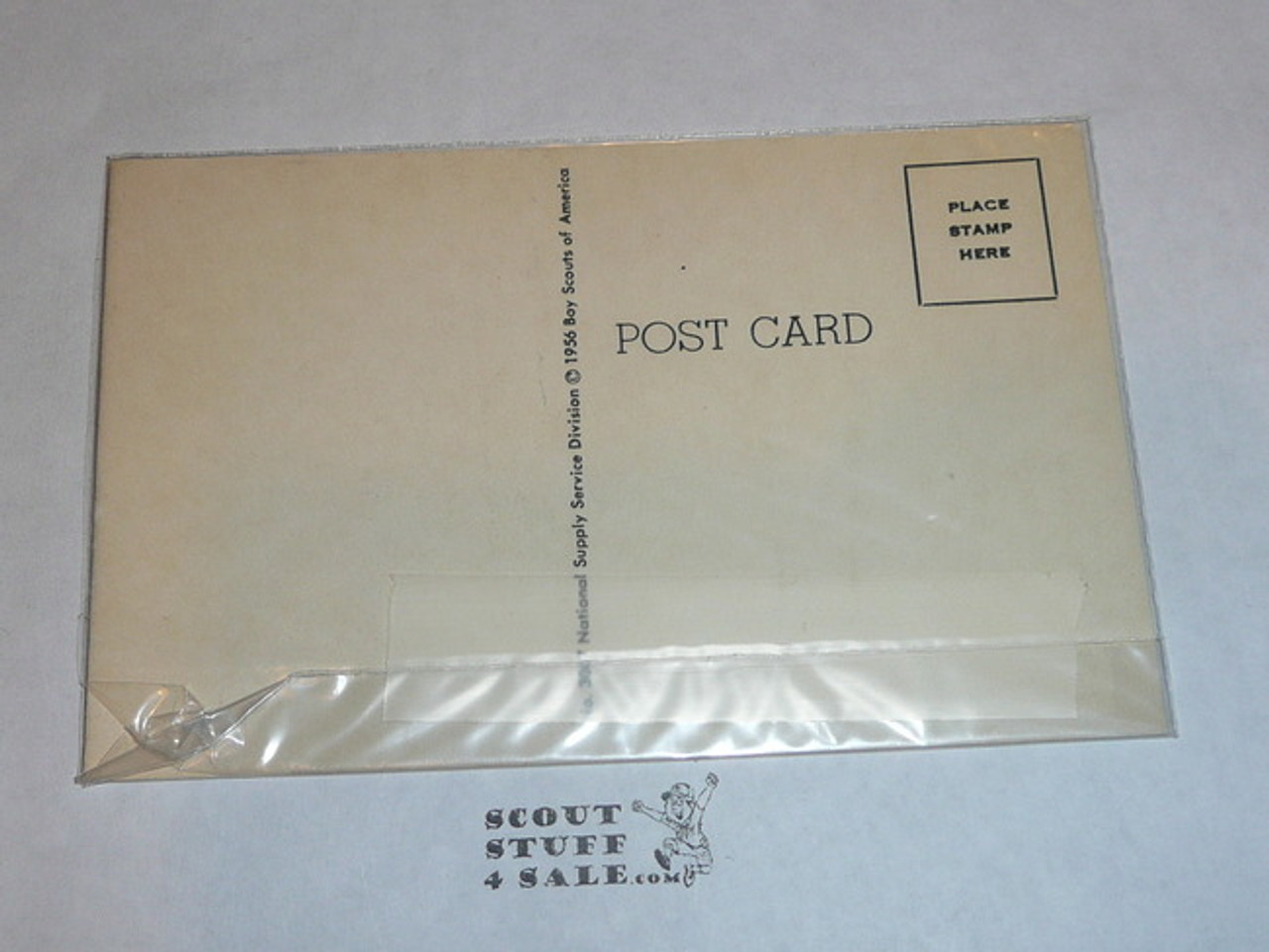 Generic BSA National Supply Cartoon Post card, He Says There's a Bear in the Woods, 1956