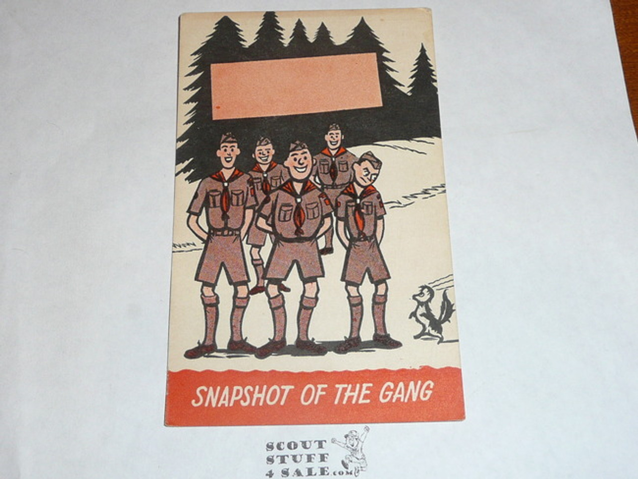 Generic BSA National Supply Cartoon Post card Snapshot of the Gang 1956