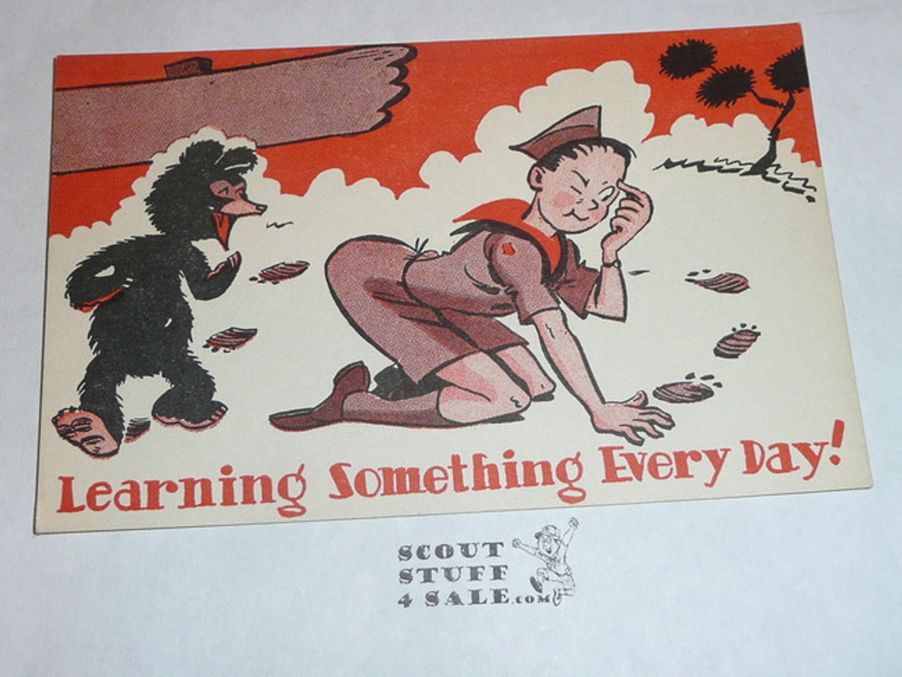 Generic BSA National Supply Cartoon Post card, Learning Something Every Day, 1947
