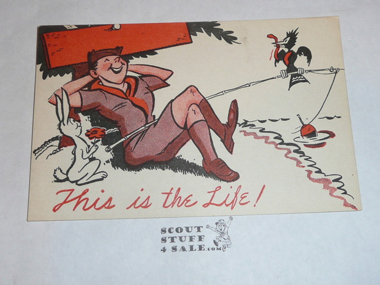 Generic BSA National Supply Cartoon Post card, This is the Life, 1947