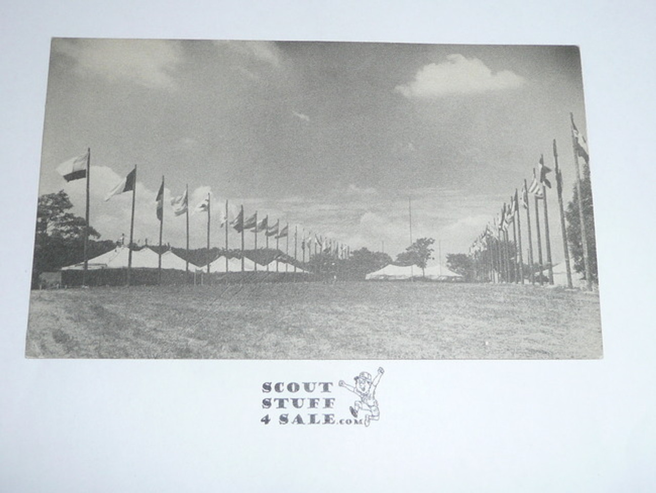 1950 National Jamboree Postcard The Flag Poles