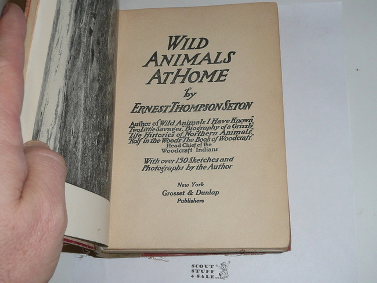 1913 Wild Animals at Home, By Ernest Thompson Seton, First printing, spine/binding repaired