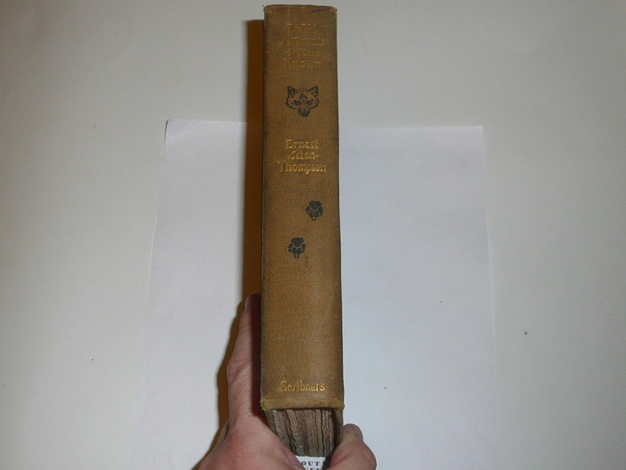 1900 Wild Animals I have Known, By Ernest Thompson Seton, Thirteenth printing